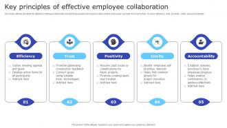 Key Principles Of Effective Employee Collaboration