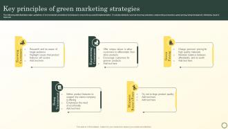 Key Principles Of Green Marketing Strategies Boosting Brand Image MKT SS V
