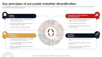Key Principles Of Successful Industrial Diversification