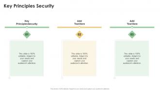 Key Principles Security In Powerpoint And Google Slides Cpb