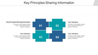 Key principles sharing information ppt powerpoint presentation portfolio outfit cpb