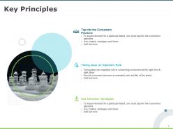 Key principles strategies consumers ppt powerpoint presentation infographics icon
