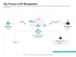 Key process in api management application programming interfaces ecosystem ppt portrait