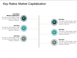 Key ratios market capitalization ppt powerpoint presentation infographic template sample cpb