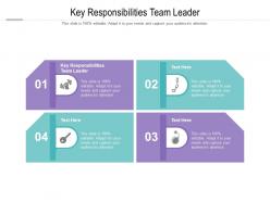 Key responsibilities team leader ppt powerpoint presentation summary example cpb