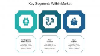 Key segments within market ppt powerpoint presentation inspiration show cpb