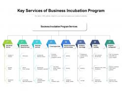 Key services of business incubation program