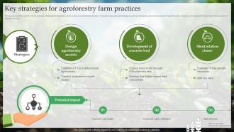 Key Strategies For Agroforestry Farm Practices