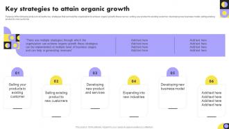 Key Strategies To Attain Organic Growth Year Over Year Organization Growth Playbook