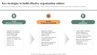 Key Strategies To Build Effective Organization Effective Workplace Culture Strategy SS V