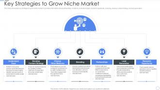 Key Strategies To Grow Niche Market
