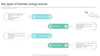 Key Types Of Biomass Energy Sources