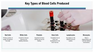 Key Types Of Blood Cells Produced Hematopoiesis Hemopoiesis PPT Graphics ACP