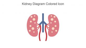 Kidney Diagram Colored Icon In Powerpoint Pptx Png And Editable Eps Format