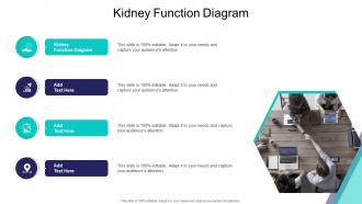 Kidney Function Diagram In Powerpoint And Google Slides Cpb