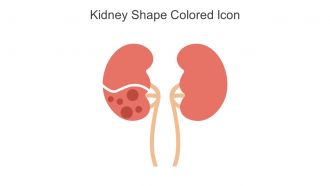 Kidney Shape Colored Icon In Powerpoint Pptx Png And Editable Eps Format