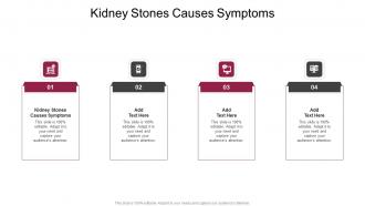 Kidney Stones Causes Symptoms In Powerpoint And Google Slides Cpb