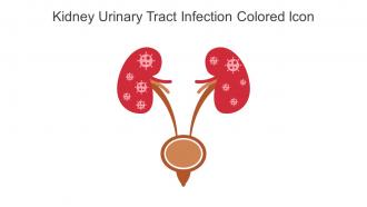 Kidney Urinary Tract Infection Colored Icon In Powerpoint Pptx Png And Editable Eps Format