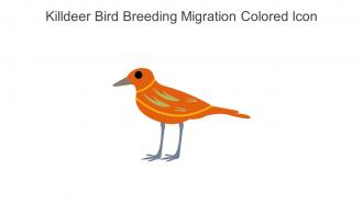 Killdeer Bird Breeding Migration Colored Icon In Powerpoint Pptx Png And Editable Eps Format