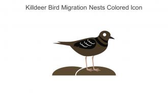 Killdeer Bird Migration Nests Colored Icon In Powerpoint Pptx Png And Editable Eps Format
