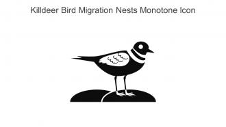 Killdeer Bird Migration Nests Monotone Icon In Powerpoint Pptx Png And Editable Eps Format