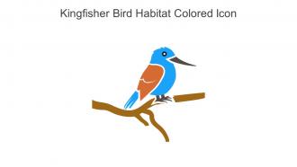 Kingfisher Bird Habitat Colored Icon In Powerpoint Pptx Png And Editable Eps Format