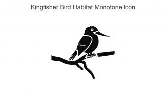 Kingfisher Bird Habitat Monotone Icon In Powerpoint Pptx Png And Editable Eps Format