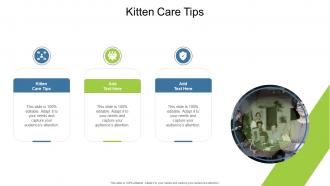 Kitten Care Tips In Powerpoint And Google Slides Cpb