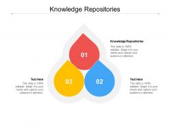 Knowledge repositories ppt powerpoint presentation show information cpb