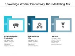 Knowledge worker productivity b2b marketing mix market size information cpb