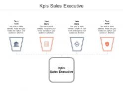 Kpis sales executive ppt powerpoint presentation file guidelines cpb