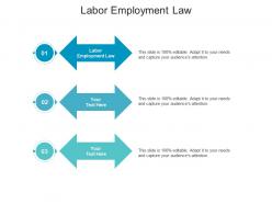 Labor employment law ppt powerpoint presentation layouts slides cpb