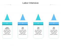 Labor intensive ppt powerpoint presentation model display cpb