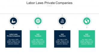 Labor Laws Private Companies Ppt Powerpoint Presentation File Templates Cpb