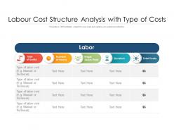 Labour cost structure analysis with type of costs