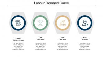 Labour demand curve ppt powerpoint presentation summary elements cpb