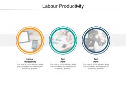 Labour productivity ppt powerpoint presentation infographics themes cpb