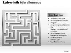 Labyrinth misc1 ppt 5