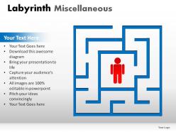 Labyrinth misc powerpoint presentation slides