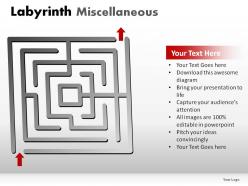Labyrinth misc powerpoint presentation slides