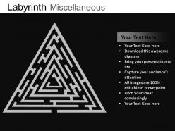 Labyrinth misc powerpoint presentation slides db