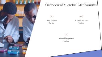 Lactose Fermentation Microbes And Mechanisms PPT PowerPoint AT Appealing Images