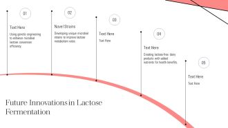 Lactose Fermentation Microbes And Mechanisms PPT PowerPoint AT Ideas Best