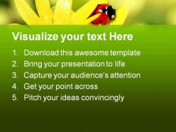Ladybird animals powerpoint templates and powerpoint backgrounds 0511