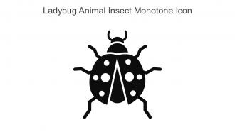 Ladybug Animal Insect Monotone Icon In Powerpoint Pptx Png And Editable Eps Format