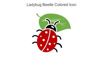 Ladybug Beetle Colored Icon In Powerpoint Pptx Png And Editable Eps Format