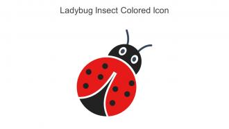 Ladybug Insect Colored Icon In Powerpoint Pptx Png And Editable Eps Format