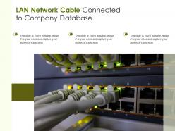 Lan network cable connected to company database