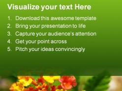 Lantana nature powerpoint templates and powerpoint backgrounds 0311