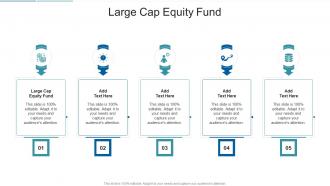 Large Cap Equity Fund In Powerpoint And Google Slides Cpb